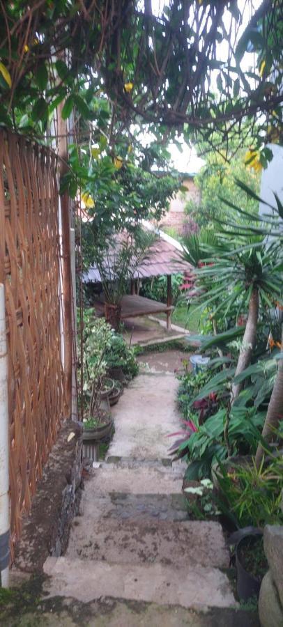 Akria Bed And Breakfast Bayan Zewnętrze zdjęcie